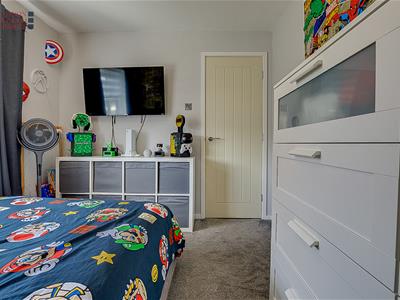 Picture 15
